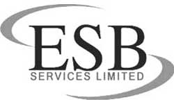 Website Design Client - ESB Services